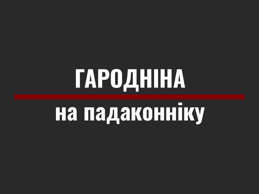 Як вырасціць гародніну на падаконніку і не з’ехаць з глузду