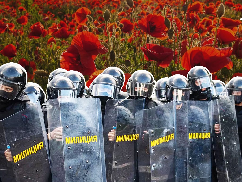 Паляць, косяць, зарываюць. Як і навошта беларускія сілавікі змагаюцца з макам